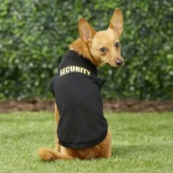 Frisco Security Dog & Cat T-Shirt 16 Frisco Security Dog & Cat T-Shirt -Frisco 139501 PT6. AC SS1800 V1624610564