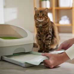 Frisco Cat Litter Pads, Unscented -Frisco 149816 PT5. AC SS1800 V1675279991