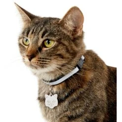 Frisco Stainless Steel Personalized Cat ID Tag, Cat 9 Frisco Stainless Steel Personalized Cat ID Tag, Cat -Frisco 153043 PT5. AC SS1800 V1540560131