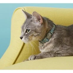 Frisco Pineapple Polyester Breakaway Cat Collar With Bell -Frisco 153158 PT1. AC SS1800 V1568380054