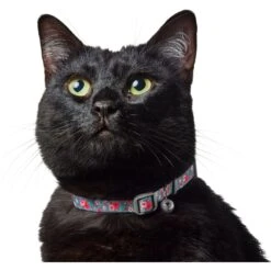 Frisco Rose Polyester Breakaway Cat Collar With Bell -Frisco 153160 PT3. AC SS1800 V1701796877
