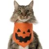 Frisco Jack O' Lantern Pumpkin Dog & Cat Bandana -Frisco 158934 MAIN. AC SS1800 V1669148132