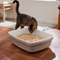 Frisco Pine Pellet Unscented Non-Clumping Wood Cat Litter 13 Frisco Pine Pellet Unscented Non-Clumping Wood Cat Litter -Frisco 161458 PT4. AC SS1800 V1659023182