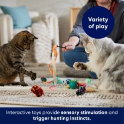 Frisco Plush, Teaser & Ball Variety Pack Cat Toy With Catnip 10 Frisco Plush, Teaser & Ball Variety Pack Cat Toy With Catnip -Frisco 169686 PT5. AC SS1800 V1691783971