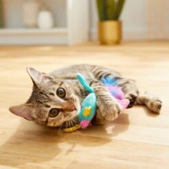 Frisco Dragon Plush Cat Toy With Catnip -Frisco 204527 PT2. AC SS1800 V1583271210