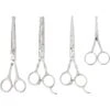Frisco Shears Kit For Cats And Dogs -Frisco 206903 MAIN. AC SS1800 V1601659859