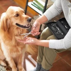 Frisco Shears Kit For Cats And Dogs -Frisco 206903 PT4. AC SS1800 V1604009923