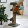 Frisco 49-in Tree-Shaped Real Carpet Wooden Cat Tree -Frisco 208944 MAIN. AC SS1800 V1647632802