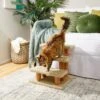Frisco 20-in 3-Step Real Carpet Wooden Cat Steps -Frisco 208966 MAIN. AC SS1800 V1602682013