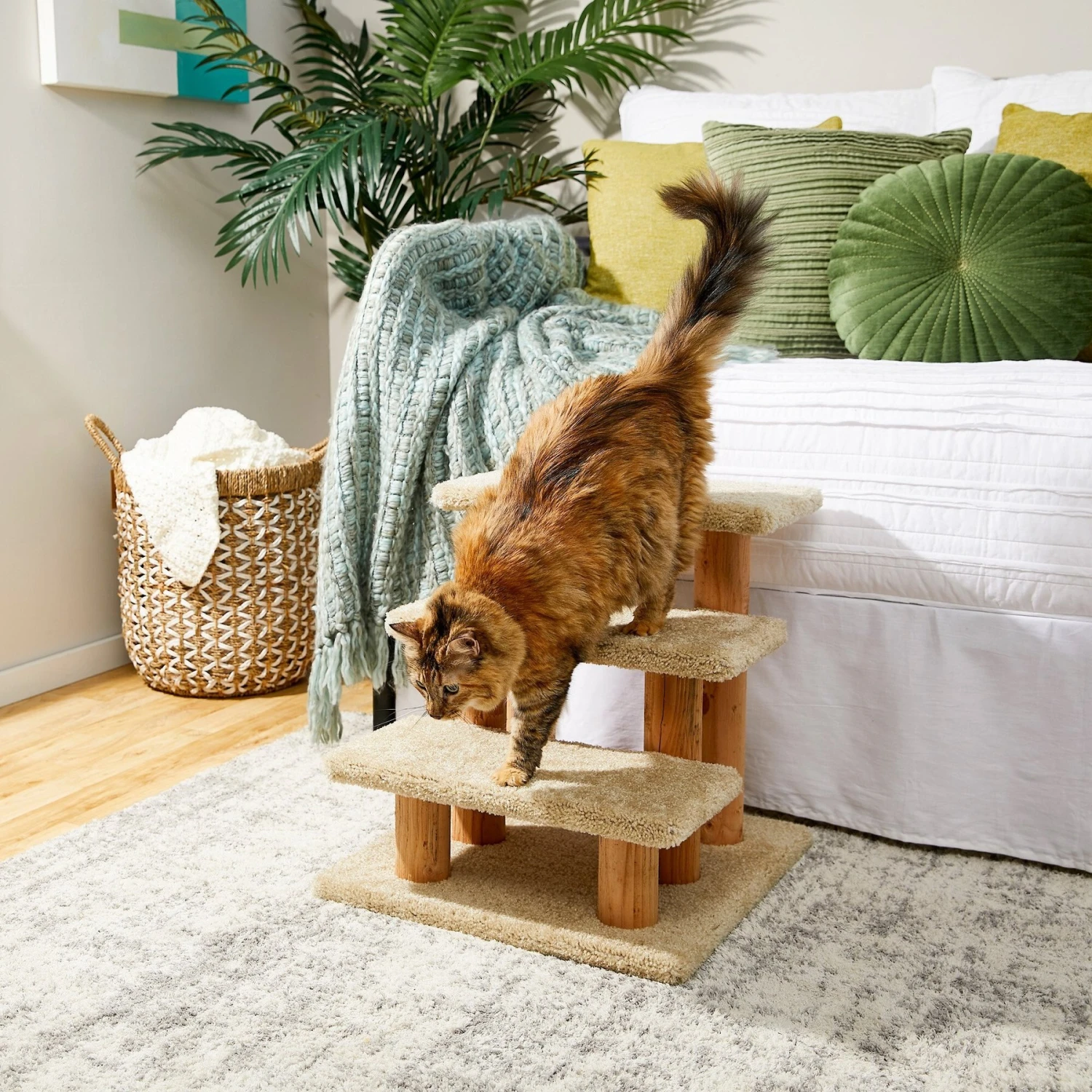Frisco 20-in 3-Step Real Carpet Wooden Cat Steps 3 Frisco 20-in 3-Step Real Carpet Wooden Cat Steps