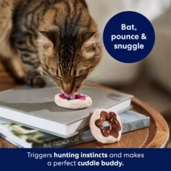 Frisco Donut Plush Cat Toy With Catnip -Frisco 213850 PT5. AC SS1800 V1692931851
