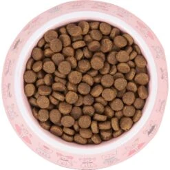 Frisco Pink Cute Cats Melamine Bowl -Frisco 216043 PT4. AC SS1800 V1591020694