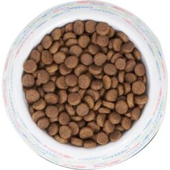 Frisco Colorful Fish Melamine Bowl -Frisco 216047 PT4. AC SS1800 V1591020721