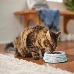 Frisco Colorful Fish Melamine Bowl -Frisco 216047 PT7. AC SS1800 V1633025238