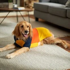 Frisco Colorblock Dog & Cat Turtleneck Sweater With Sleeves -Frisco 223819 PT7. AC SS1800 V1599922008