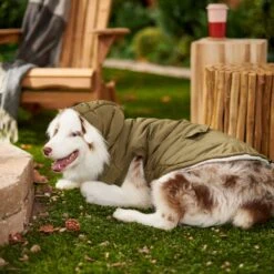 Frisco Mid-Heavyweight Love Insulated Dog & Cat Coat -Frisco 224034 PT7. AC SS1800 V1601578266