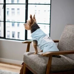 Frisco Mommy's Little Bear Dog & Cat Hoodie -Frisco 224272 PT6. AC SS1800 V1637715724