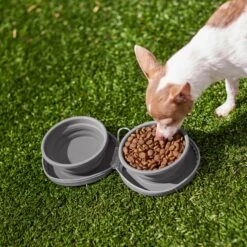 Frisco Travel Collapsible Silicone Dog & Cat Bowl -Frisco 232062 PT8. AC SS1800 V1605754928