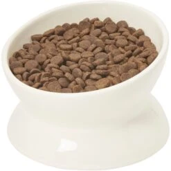 Frisco Double-Sided Ceramic Elevated Cat Bowl -Frisco 232081 PT6. AC SS1800 V1684760471