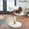 Frisco Natural Wood Modern Cat Tree With Toy, Ivory, Medium -Frisco 236561 MAIN. AC SS1800 V1616521947