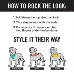 Frisco Blue Snowflakes Personalized Dog & Cat Bandana 12 Frisco Blue Snowflakes Personalized Dog & Cat Bandana -Frisco 242803 PT2. AC SS1800 V1618510613