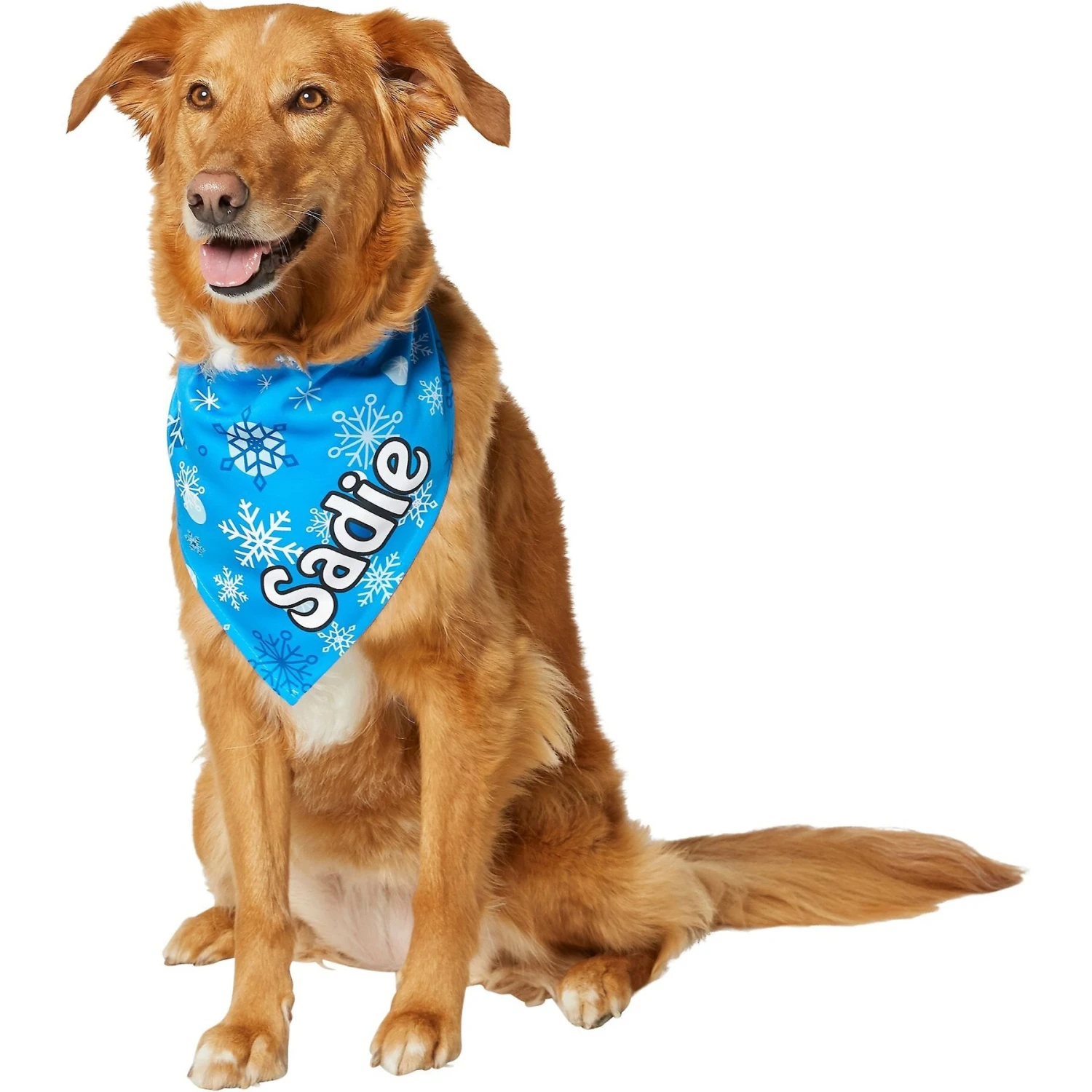 Frisco Blue Snowflakes Personalized Dog & Cat Bandana 9 Frisco Blue Snowflakes Personalized Dog & Cat Bandana - Image 7