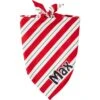 Frisco Peppermint Personalized Dog & Cat Bandana -Frisco 242807 MAIN. AC SS1800 V1600114265