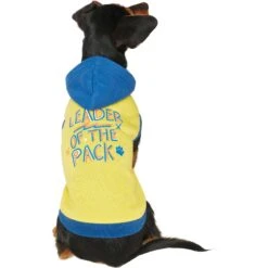 Frisco Leader Of The Pack Dog & Cat Hoodie -Frisco 248905 PT2. AC SS1800 V1637686650