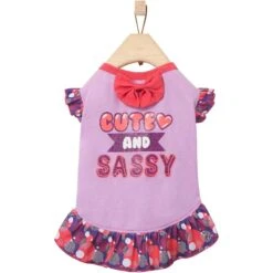 Frisco Cute & Sassy Dog & Cat Dress -Frisco 249073 PT3. AC SS1800 V1644960094
