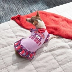 Frisco Cute & Sassy Dog & Cat Dress -Frisco 249073 PT5. AC SS1800 V1644960392