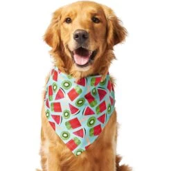 Frisco Fruity Summer Dog & Cat Bandana 11 Frisco Fruity Summer Dog & Cat Bandana -Frisco 249204 PT2. AC SS1800 V1637644629
