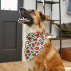 Frisco Fruity Summer Dog & Cat Bandana 13 Frisco Fruity Summer Dog & Cat Bandana -Frisco 249204 PT4. AC SS1800 V1637668676