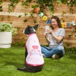 Frisco It's My Birthday Dog & Cat T-Shirt, Pink -Frisco 249255 PT7. AC SS1800 V1614289423