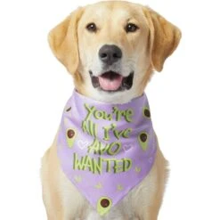 Frisco You're All I've Avo Wanted Dog & Cat Bandana -Frisco 249292 PT2. AC SS1800 V1637723806