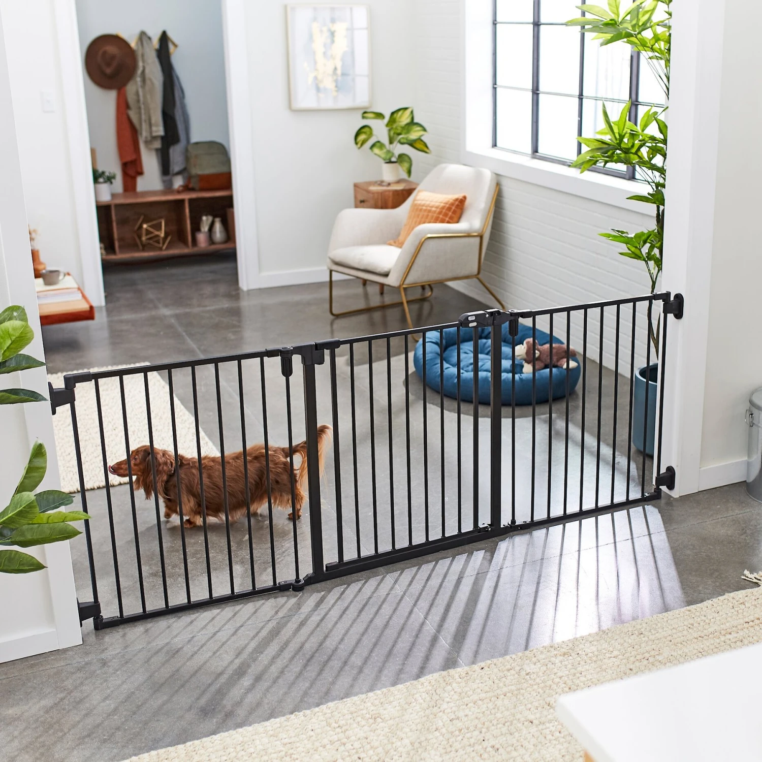 Frisco Steel 3-Panel Configurable Dog Gate, 30-in 3 Frisco Steel 3-Panel Configurable Dog Gate, 30-in