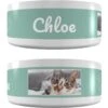 Frisco Playful Kitty Ceramic Personalized Cat Bowl, 1-cup, 8oz 2 Frisco Playful Kitty Ceramic Personalized Cat Bowl, 1-cup, 8oz -Frisco 250841 MAIN. AC SS1800 V1602625886