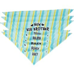Frisco Big Brother Personalized Dog & Cat Bandana 15 Frisco Big Brother Personalized Dog & Cat Bandana -Frisco 254231 PT4. AC SS1800 V1633065997