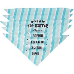 Frisco Big Sister Personalized Dog & Cat Bandana -Frisco 254235 PT4. AC SS1800 V1619558530