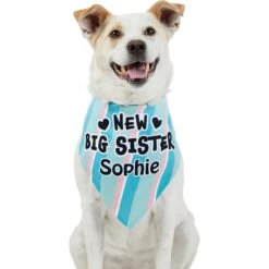 Frisco Big Sister Personalized Dog & Cat Bandana -Frisco 254235 PT6. AC SS1800 V1619558258