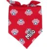 Frisco Patriotic Paws Personalized Dog & Cat Bandana 2 Frisco Patriotic Paws Personalized Dog & Cat Bandana -Frisco 254243 MAIN. AC SS1800 V1619560378