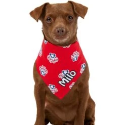 Frisco Patriotic Paws Personalized Dog & Cat Bandana 17 Frisco Patriotic Paws Personalized Dog & Cat Bandana -Frisco 254243 PT6. AC SS1800 V1619557657