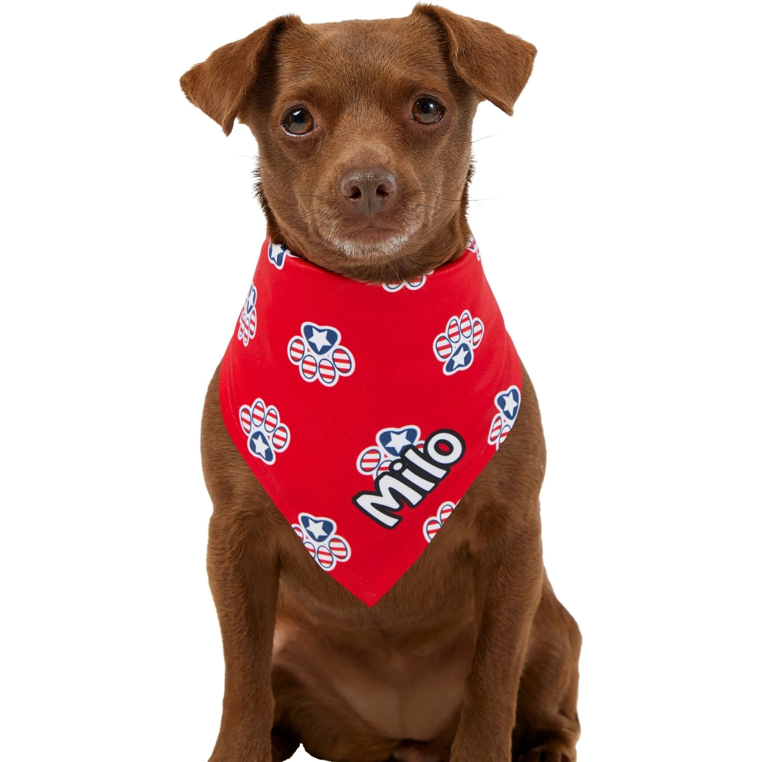 Frisco Patriotic Paws Personalized Dog & Cat Bandana 9 Frisco Patriotic Paws Personalized Dog & Cat Bandana - Image 7