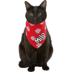 Frisco Patriotic Paws Personalized Dog & Cat Bandana 18 Frisco Patriotic Paws Personalized Dog & Cat Bandana -Frisco 254243 PT7. AC SS1800 V1619559130