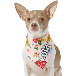 Frisco Floral Personalized Dog & Cat Bandana -Frisco 254255 PT6. AC SS1800 V1618507356