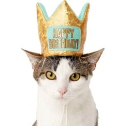 Frisco Happy Birthday Dog & Cat Crown & Frisco Dog & Cat Birthday Bandana -Frisco 255523 PT2. AC SS1800 V1603716120