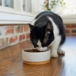 Frisco Round Meow Non-skid Ceramic Cat Bowl With Wood Base -Frisco 256078 PT2. AC SS1800 V1615313612