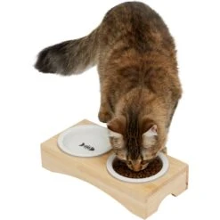 Frisco 21 Frisco Double Elevated Cat Bowl With Wood Stand