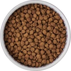 Frisco Kaleidoscope Pattern Non-skid Ceramic Dog & Cat Bowl 13 Frisco Kaleidoscope Pattern Non-skid Ceramic Dog & Cat Bowl -Frisco 256090 PT5. AC SS1800 V1615312887