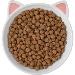 Frisco Cat Face Non-skid Ceramic Cat Dish -Frisco 256105 PT5. AC SS1800 V1615321295