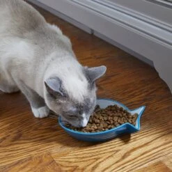 Frisco Fish Shaped Non-skid Ceramic Cat Dish 12 Frisco Fish Shaped Non-skid Ceramic Cat Dish -Frisco 256109 PT3. AC SS1800 V1617196297